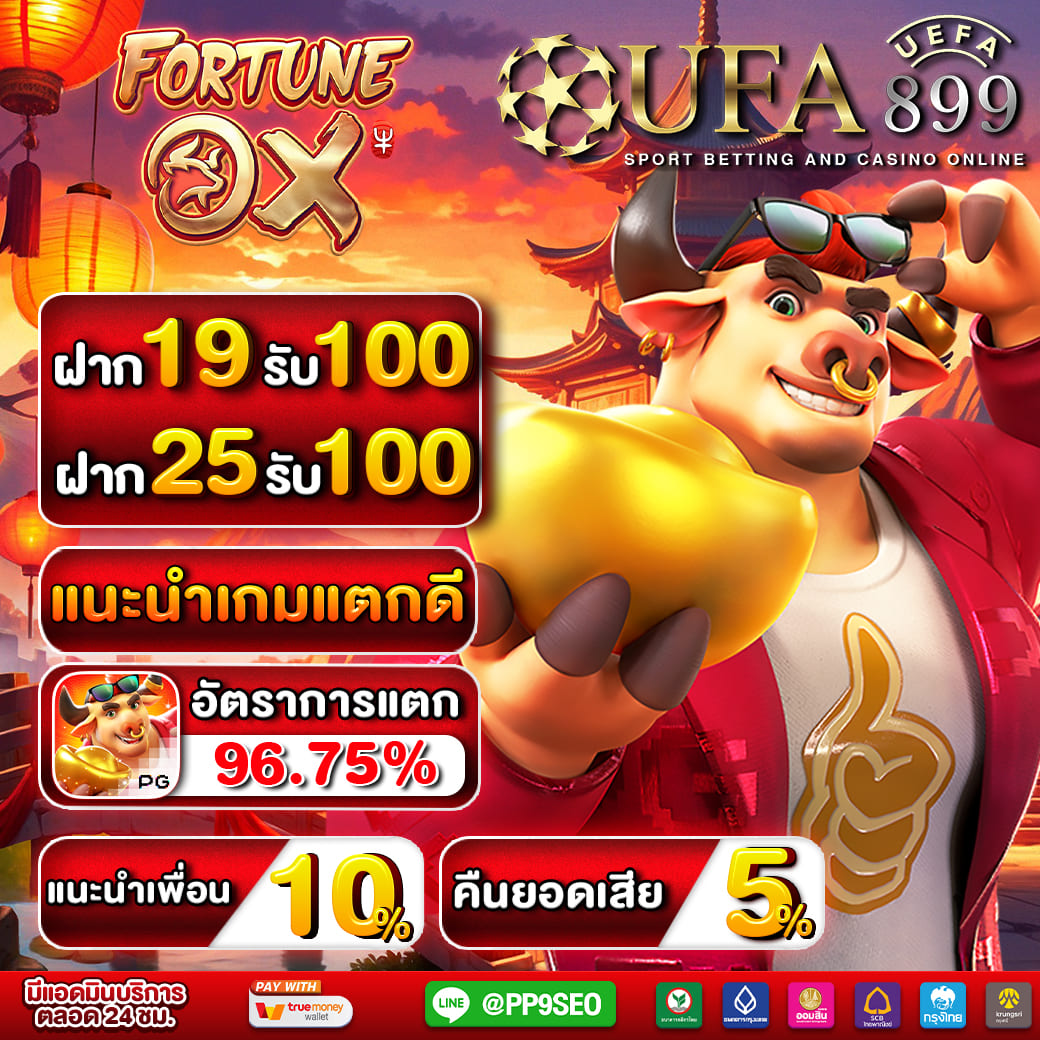 ไม่พบรูปภาพ