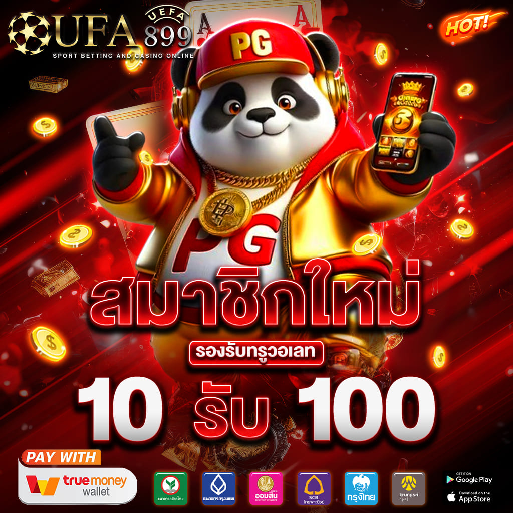 ไม่พบรูปภาพ